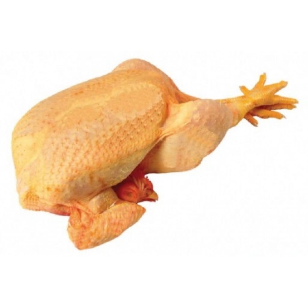 pollo-ruspante-giallo